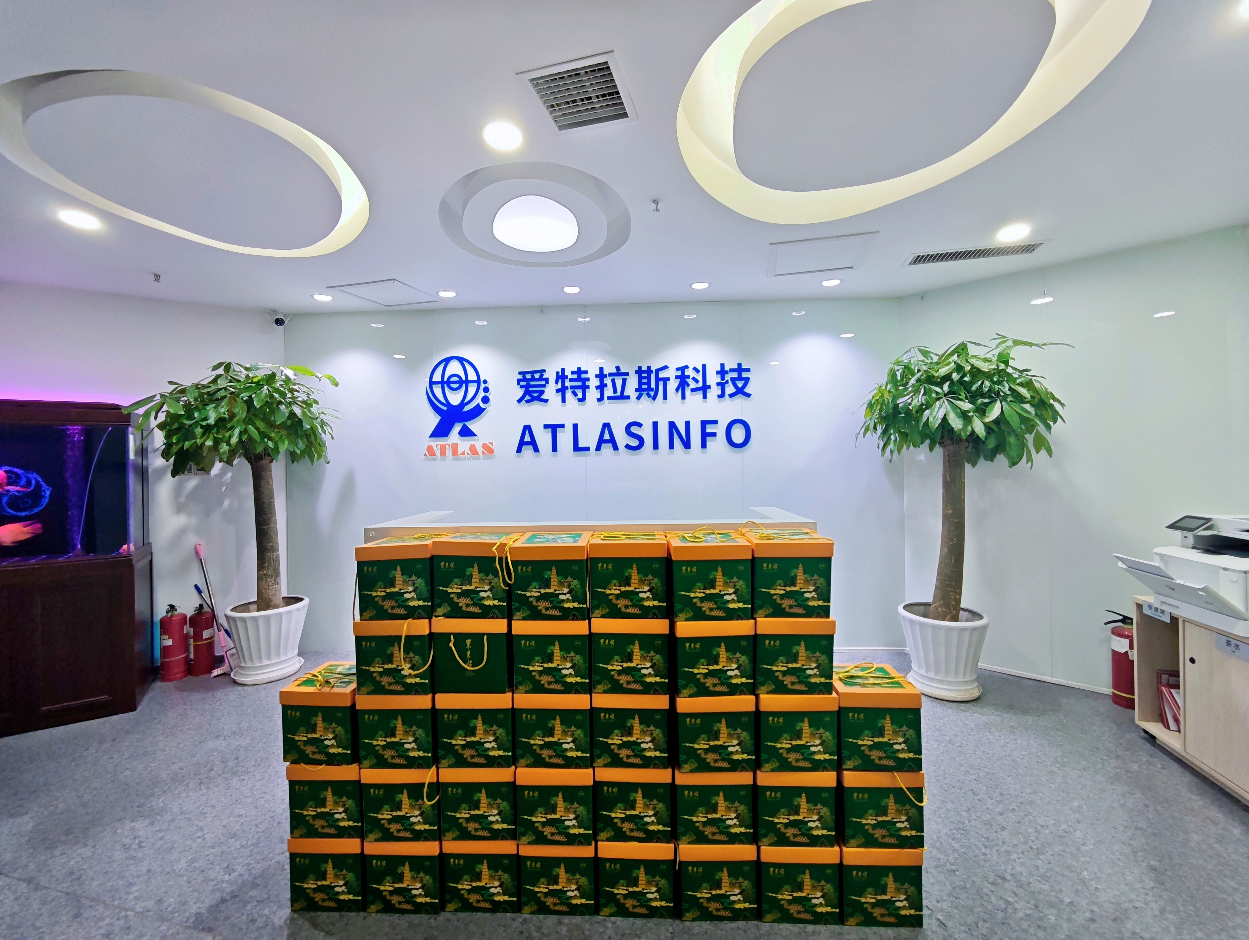 端午團圓時(shí)，思念是粽葉包裹的情